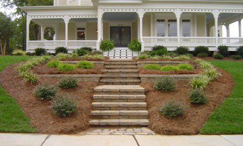 Image of front yard and entrance of house